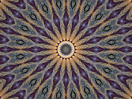 604339 (a): :1600x1200